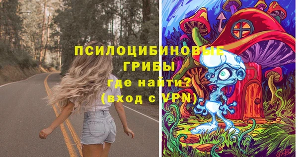 сатива Баксан