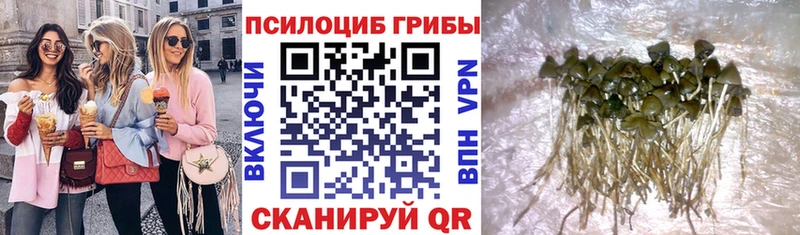Галлюциногенные грибы мухоморы  ссылка на мегу ссылка  Корсаков 